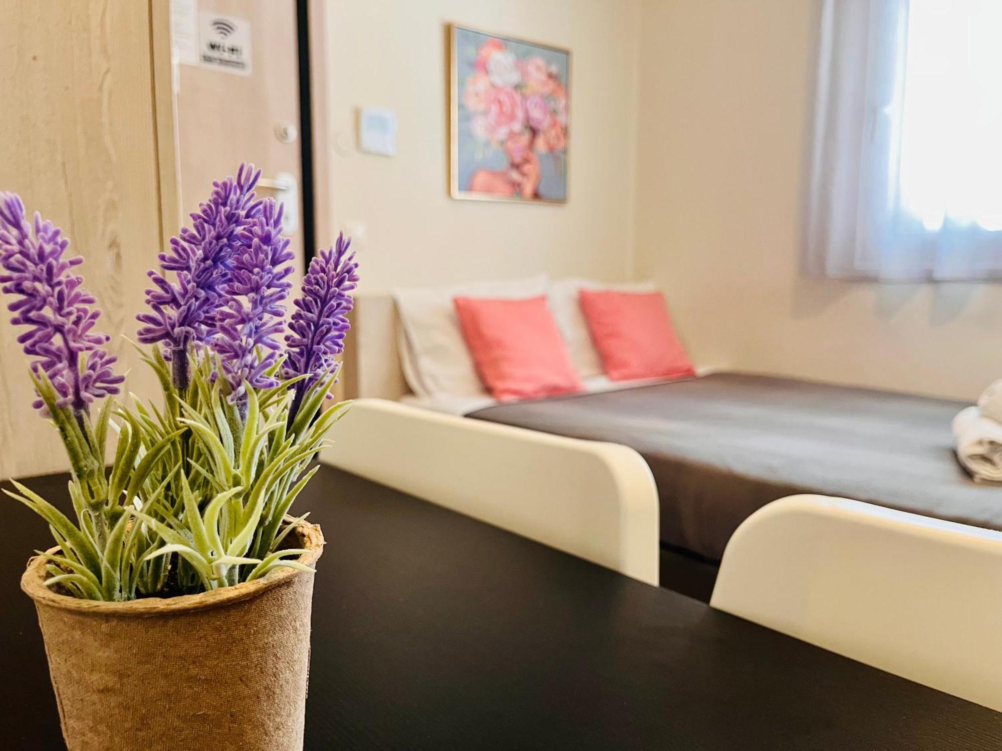 Elvita Apartments 3 Афіни Екстер'єр фото