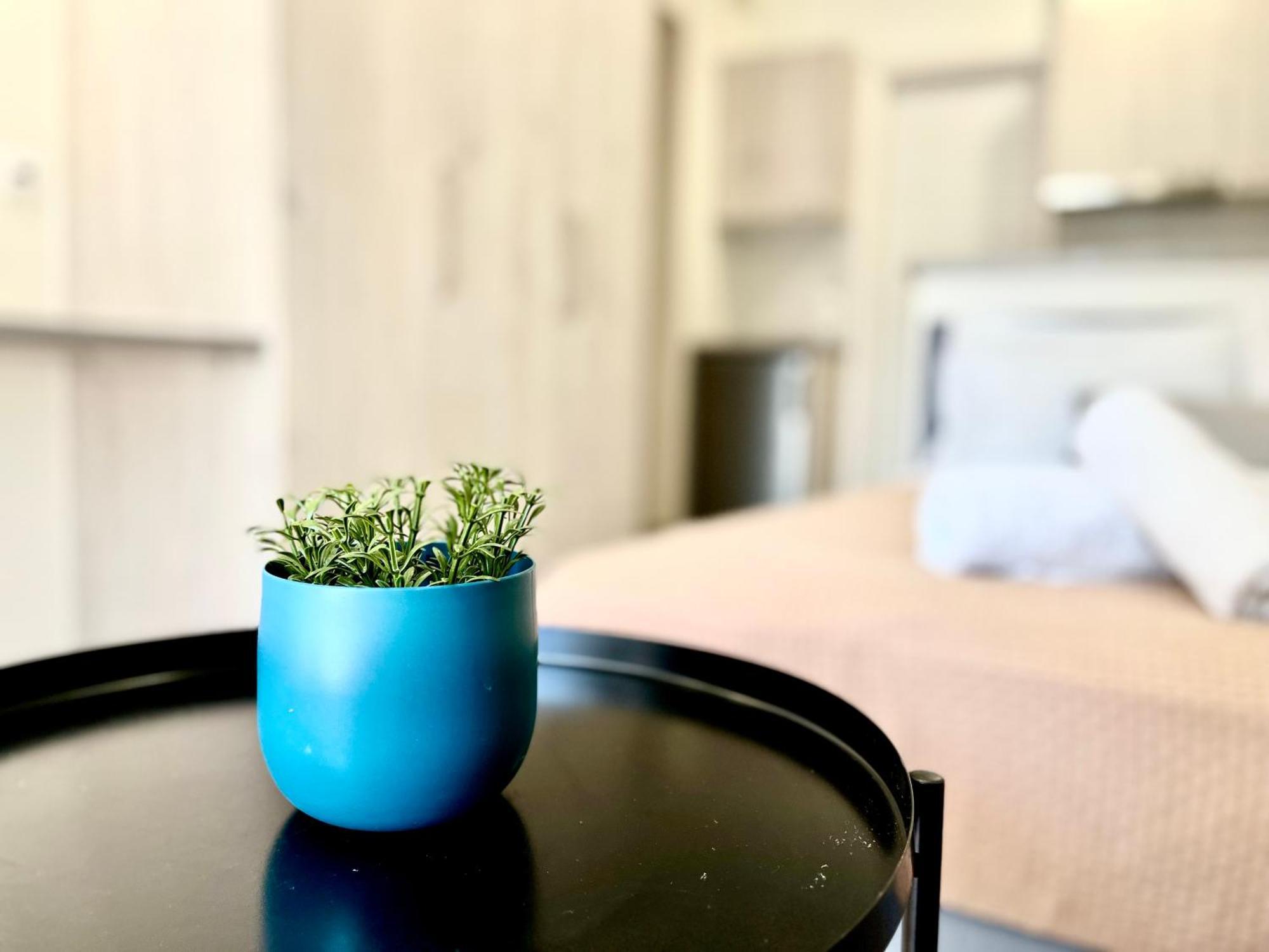 Elvita Apartments 3 Афіни Екстер'єр фото